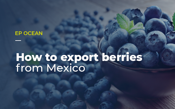 How to export berries from Mexico