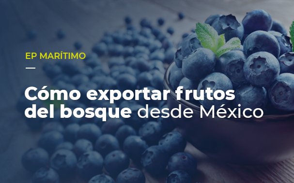Cómo exportar frutos del bosque desde México